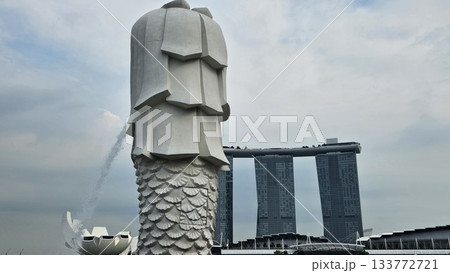 This is the symbol of Singapore, the Merlion.  133772721