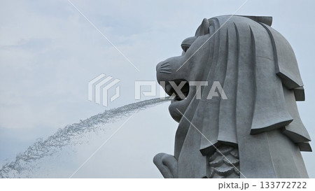 This is the symbol of Singapore, the Merlion.  133772722