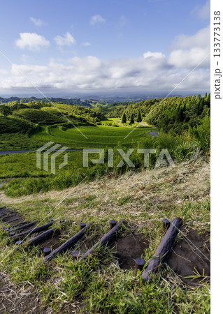 7月終わりの扇棚田（熊本県阿蘇郡産山村） 133773138