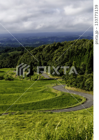 7月終わりの扇棚田（熊本県阿蘇郡産山村） 133773139