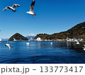 三津浜からの富士山 133773417