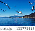 三津浜からの富士山 133773418