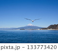 三津浜からの富士山 133773420