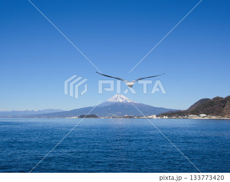 三津浜からの富士山 133773420