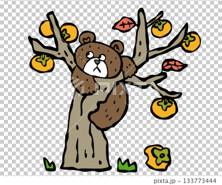 民家の柿の木に登る熊　クマ くま 133773444