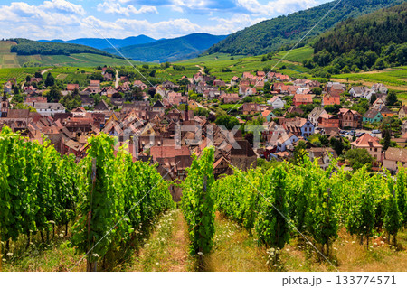 View of Riquewihr village with vineyard on a foreground. Alsace Wine Route, France 133774571