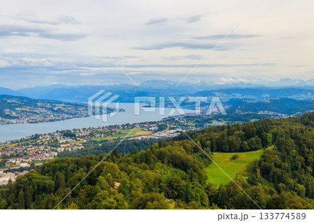 Aerial panorama of Zurich city and Lake Zurich from the Uetliberg mountain, Switzerland 133774589