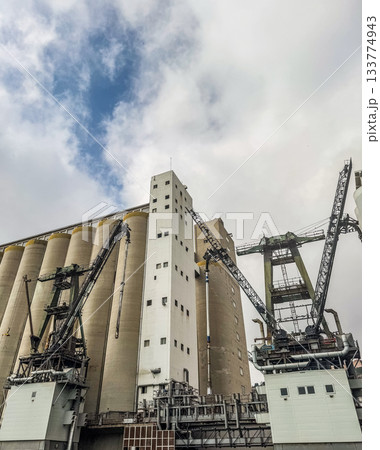 Industrial Grain Silos and Loading Cranes Under Cloudy Sky 133774943