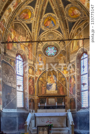 Basilica of Saint Anthony of Padua, Padua, Italy 133775147