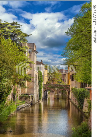 River Rio in Mantua, Italy River Rio in Mantua, Italy 133775240