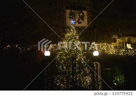田園調布の住宅街のイルミネーション 133775425