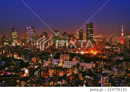 恵比寿ガーデンプレイス　スカイラウンジからの都市夜景 133776133
