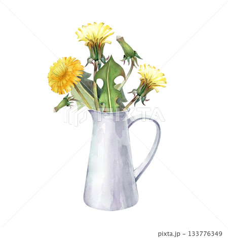 A bouquet of yellow dandelions in a white ceramic jug. Watercolor illustration on an isolated background. Realistic wildflowers for summer design. A bouquet of yellow dandelions in a white ceramic jug. Watercolor illustration on an isolated background. Realistic wildflowers for summer design. 133776349