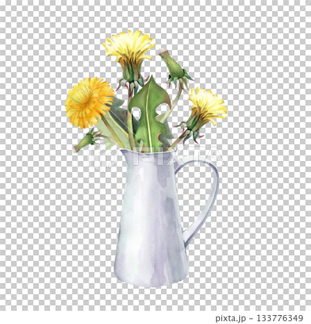 A bouquet of yellow dandelions in a white ceramic jug. Watercolor illustration on an isolated background. Realistic wildflowers for summer design. A bouquet of yellow dandelions in a white ceramic jug. Watercolor illustration on an isolated background. Realistic wildflowers for summer design. 133776349