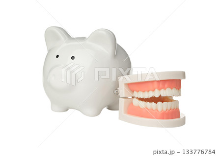 Piggy bank beside dental model promotes savings, isolated, PNG Piggy bank beside dental model promotes savings, isolated, PNG 133776784