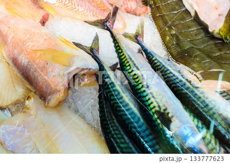 Fishes at fish market (Fisketorget) in Bergen, Norway 133777623