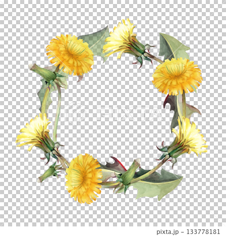 A round frame of yellow dandelions on an isolated background. Watercolor illustration of a wreath of realistic wildflowers. Floral vintage template with an empty place to insert. 133778181