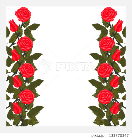 A frame decorated with bright red, lush roses and buds on the stems on the left and right edges. A frame decorated with bright red, lush roses and buds on the stems on the left and right edges. 133778347