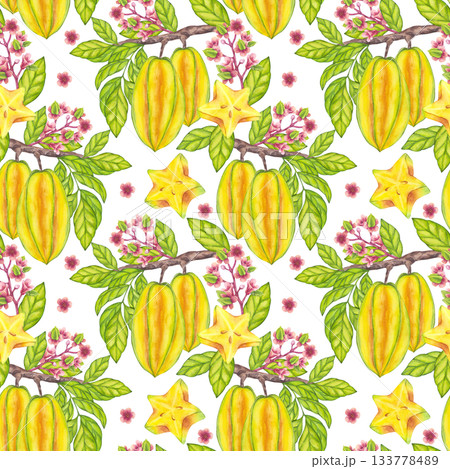 Seamless Pattern with Starfruit hanging blooming tree branch, green leaf foliage. Yellow tropical fruit Carambola or Bilimbi. Botanical exotic star apple. Hand drawn illustration isolated background 133778489