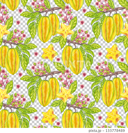 Seamless Pattern with Starfruit hanging blooming tree branch, green leaf foliage. Yellow tropical fruit Carambola or Bilimbi. Botanical exotic star apple. Hand drawn illustration isolated background 133778489