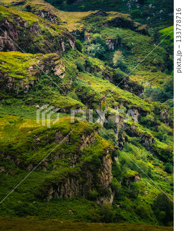 A steep hillside covered in grass, moss, and trees features rocky outcroppings. Landscapes opening from the Coomloughra Horseshoe hiking trail. A steep hillside covered in grass, moss, and trees features rocky outcroppings. Landscapes opening from the Coomloughra Horseshoe hiking trail. 133778716