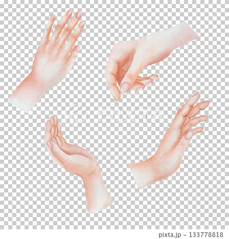 Set of watercolor female hands with delicate gestures, elegant, minimalist illustration. Soft anatomical poses are suitable for designs in the field of beauty, health or skincare with clean aesthetic Set of watercolor female hands with delicate gestures, elegant, minimalist illustration. Soft anatomical poses are suitable for designs in the field of beauty, health or skincare with clean aesthetic 133778818