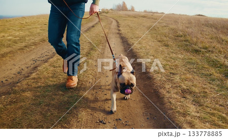 A Person Walking a French Bulldog on a Scenic Trail Surrounded by Nature in a Picturesque Landscape During Daylight with Clear Skies and Soft Grass Underfoot A Person Walking a French Bulldog on a Scenic Trail Surrounded by Nature in a Picturesque Landscape During Daylight with Clear Skies and Soft Grass Underfoot 133778885