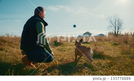 A Man Enjoying a Sunny Day Outdoors Playing Fetch with His Energetic Dog in a Natural Setting Surrounded by Open Fields and Clear Blue Skies 133778889