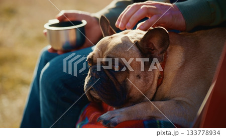 A Relaxing Moment: A Person Gently Petting a Calm French Bulldog While Enjoying a Warm Beverage Amidst Nature's Tranquility on a Cozy Blanket 133778934