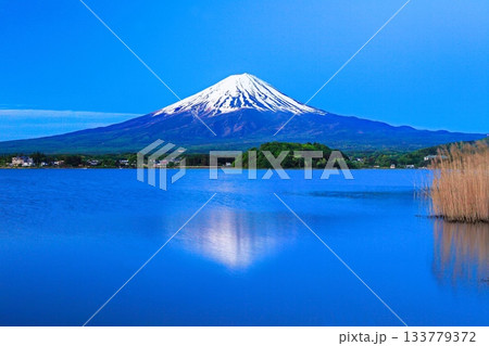 【山梨県】河口湖から見た富士山 133779372