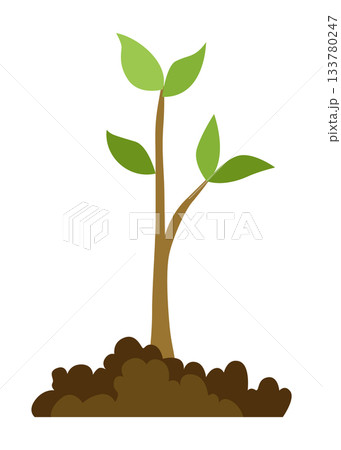 Stage of tree growth. Small tree growth with green leaf and branches. Illustration of business cycle development 133780247