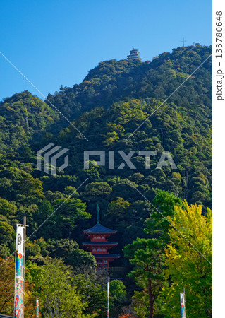 岐阜城　金華山 133780648