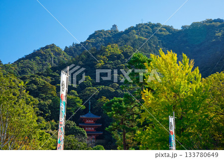 岐阜城 金華山 岐阜城 金華山 133780649