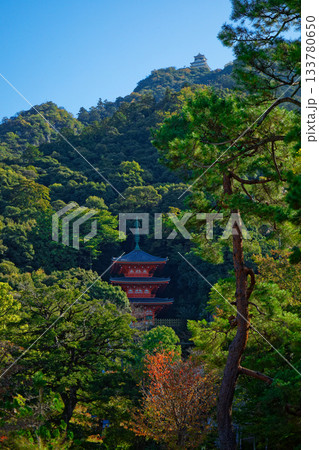 岐阜城　岐阜公園三重塔 133780650