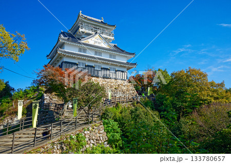 岐阜城　金華山 133780657