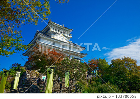 岐阜城　金華山 133780658