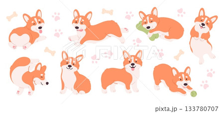 Funny corgi characters. Positive corgis sleeping, playing with ball, running and sitting. Cute puppy various poses. Cartoon little dog racy vector clipart 133780707