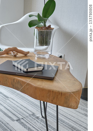 Modern minimalist living room decor with laptop and plant 133780808