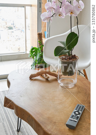 Modern home interior showing orchid on live-edge coffee table, remote control tv 133780862