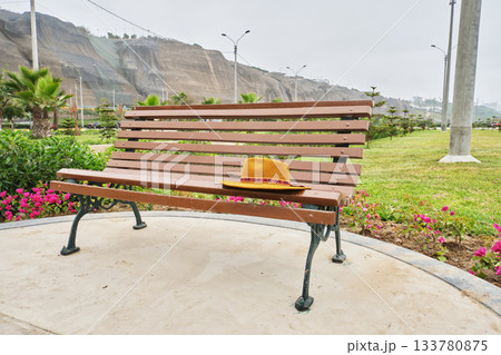 Straw hat resting on wooden park bench Straw hat resting on wooden park bench 133780875