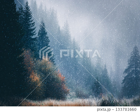 stylized picture of snowy winter forest, in the foreground snow-covered pine trees and falling snow, cozy atmosphere, can be used as background or a separate poster stylized picture of snowy winter forest, in the foreground snow-covered pine trees and falling snow, cozy atmosphere, can be used as background or a separate poster 133781660
