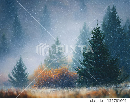 stylized picture of snowy winter forest, in the foreground snow-covered pine trees and falling snow, cozy atmosphere,  can be used as background or a separate poster 133781661