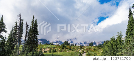 Nature of mountain forest. Green forest wood landscape in mountain. Cloudy weather. Nature of mixed forest. Landscape of scenery nature. Scenic landscape of woodland. Hill landscape with forest 133781700