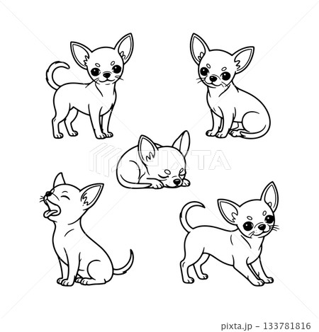 Cute chihuahuas in various playful and sleepy poses, perfect for coloring and fun activities 133781816