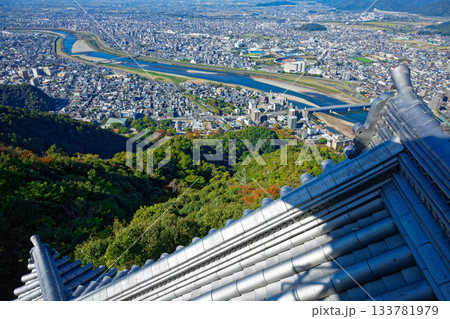 岐阜城より長良川方面の街並みを望む 133781979