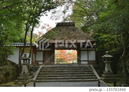 秋の法然院 山門(京都市左京区) 秋の法然院 山門(京都市左京区) 133781998