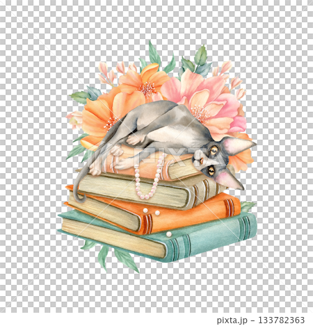 Sphynx cat is lying on stack of books with pearl necklace and delicate flowers behind. Cozy spring composition with cute Sphinx kitty on old literature, accessories. Watercolor isolated illustration 133782363