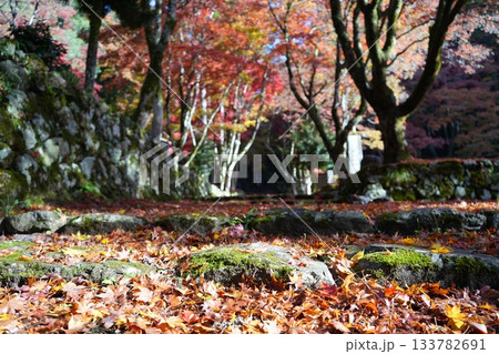 滋賀県　鶏足寺の紅葉の風景 133782691