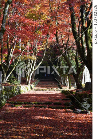滋賀県 鶏足寺の紅葉の風景 滋賀県 鶏足寺の紅葉の風景 133782826