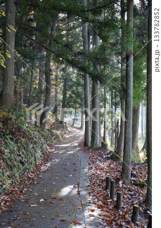 滋賀県 鶏足寺の紅葉の風景 滋賀県 鶏足寺の紅葉の風景 133782852